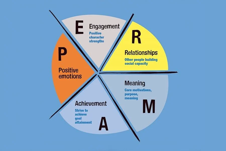 PERMA Model in Positive Psychology
