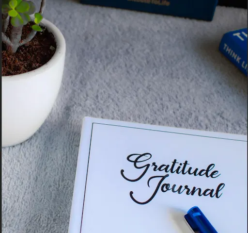 Positive Emotions: Building the Foundation of Happiness - Image complimenting PERMA Model