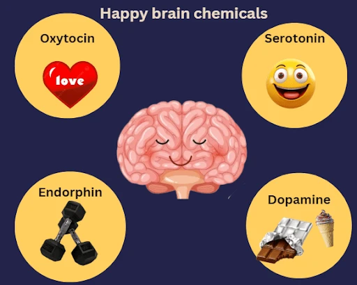 The Four Neurochemicals of Happiness (And What People Get Wrong About Them) reference image