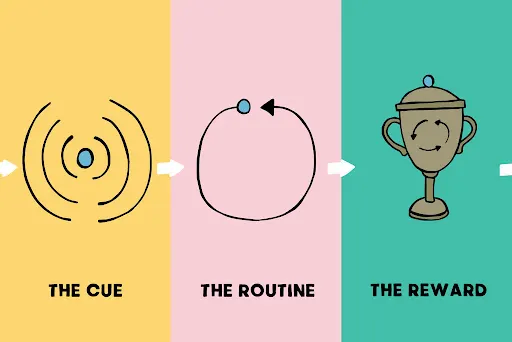 The Science of Habit Formation: What Actually Works, reference image