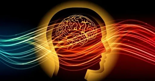 Banner image: Flow State, Focus, and Flourishing: What Peak Performance Looks Like From the Inside