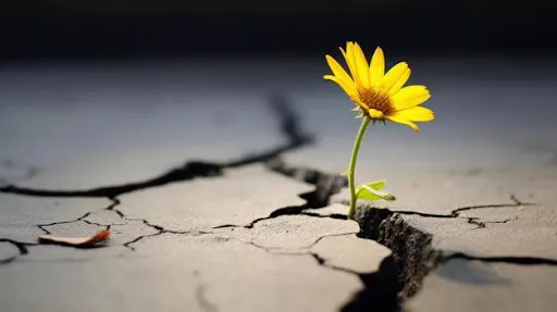 Banner image: The Most Misunderstood Word in Psychology: What 'Resilience' Actually Means