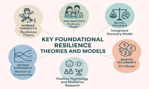 Reference image : The Origin of a Concept: Where Resilience Research Actually Started