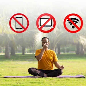 Disconnecting from Screens to Reconnecting with Serenity: How Digital Detox Unclogs Zones of Happiness banner image