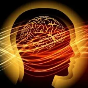 Banner image: Flow State, Focus, and Flourishing: What Peak Performance Looks Like From the Inside