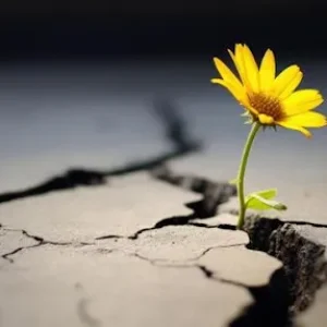 Banner image: The Most Misunderstood Word in Psychology: What 'Resilience' Actually Means